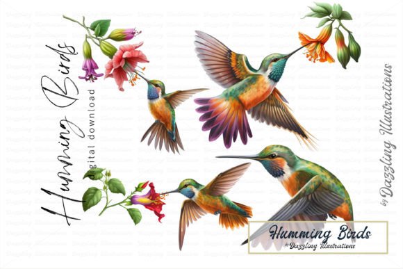 Download Beautiful Hummingbird and Flower Set - Beautiful Collection