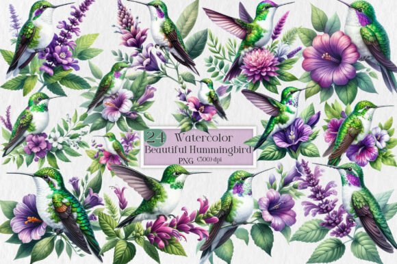 Download Beautiful Hummingbird Watercolor Clipart - Beautiful Collection